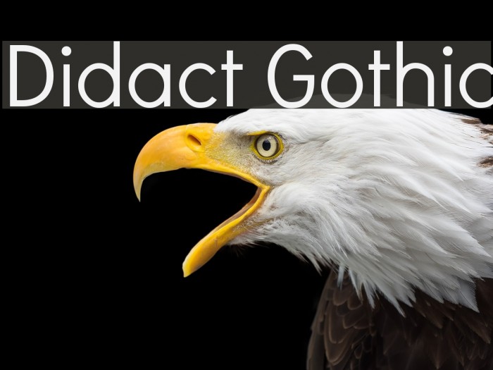 Didact Gothic Font examples