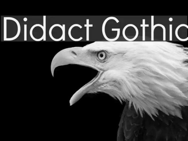 Didact Gothic Example 2