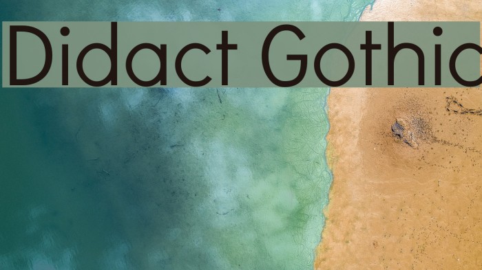 Didact Gothic Font examples