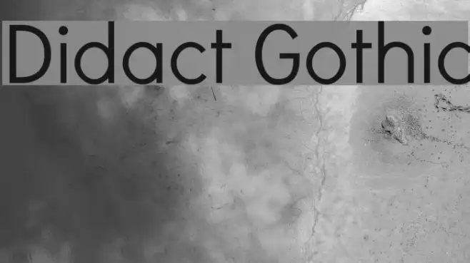 Didact Gothic Example 3
