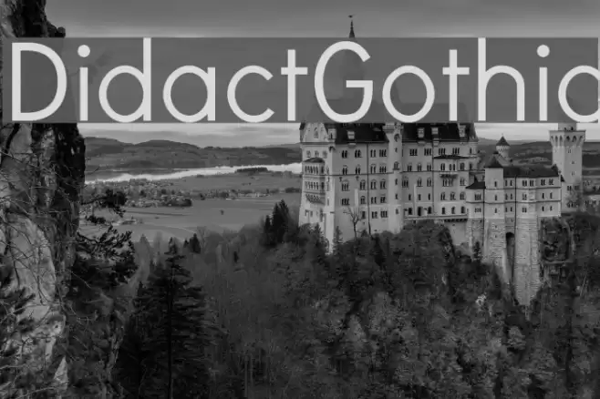 DidactGothic Font examples