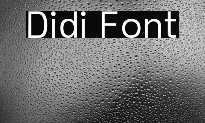 Didi Font examples