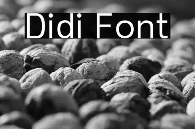 Didi Font examples