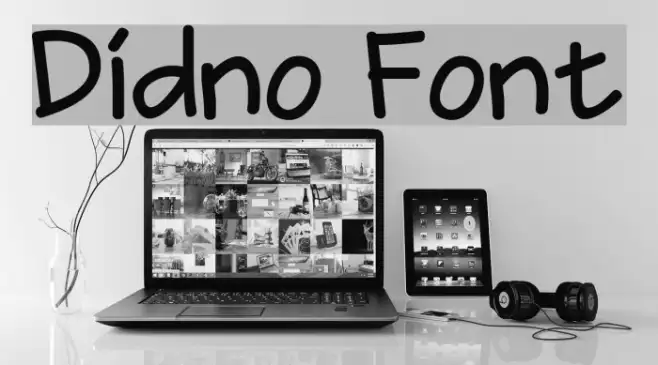 Didno Example 3