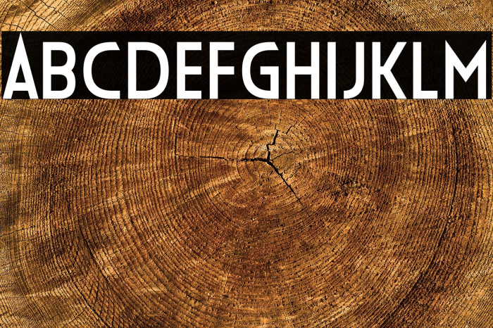 Die Frau Font examples