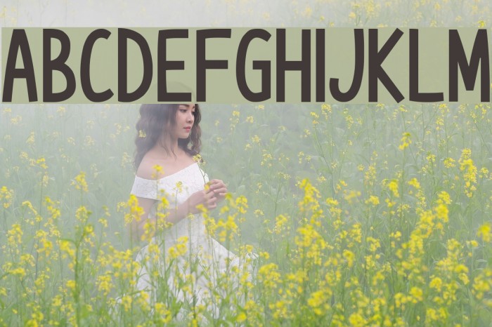 Die Grinsekatze Font examples