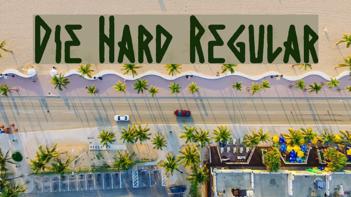 Die Hard Regular Example 1