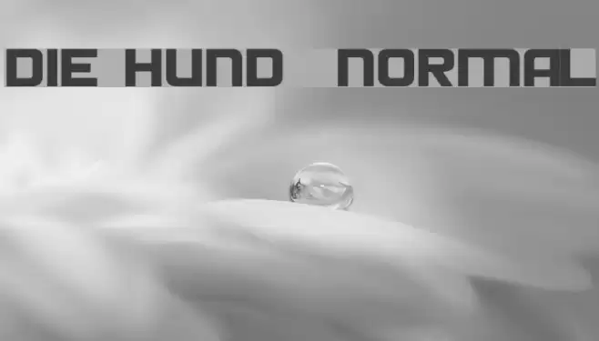 Die Hund  Normal Font examples