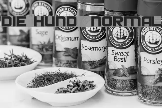 Die Hund  Normal Font examples