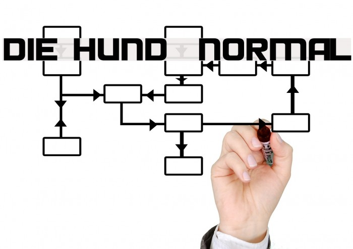 Die Hund Normal Font examples