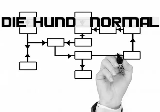 Die Hund Normal Font examples