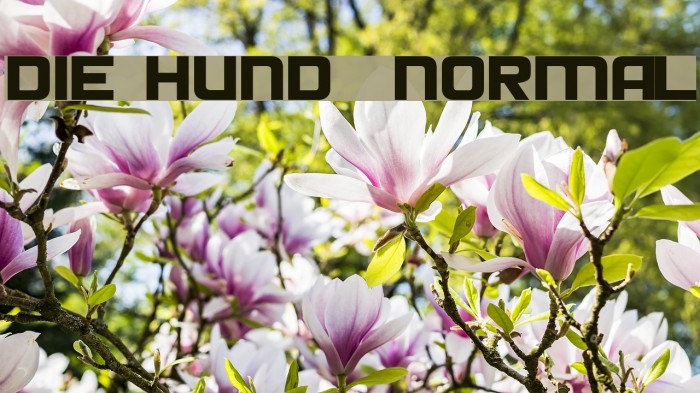 Die Hund Normal Font examples