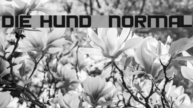 Die Hund Normal Font examples