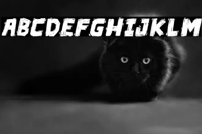 Die in a fire PG Italic Example 2