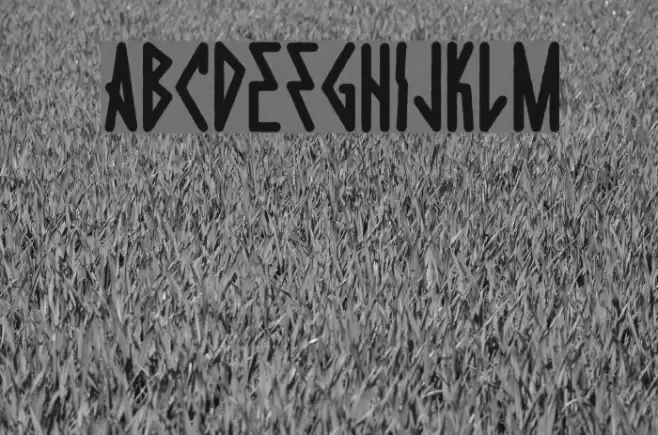 DieHardRegular Font examples