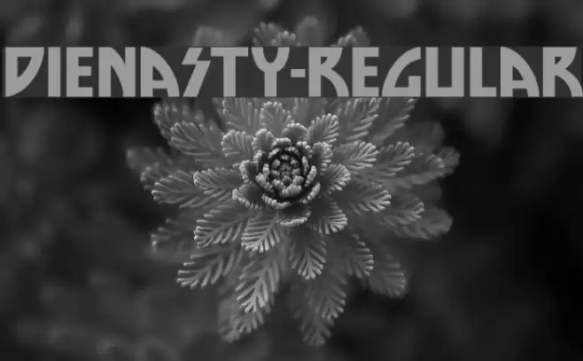 DieNasty-Regular Font examples