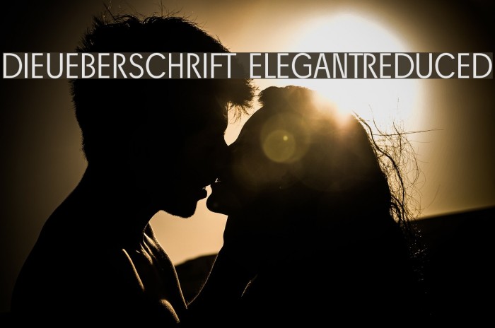 DieUeberSchrift-Elegantreduced Font examples