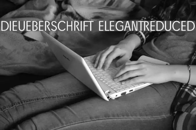 DieUeberSchrift-Elegantreduced Example 3