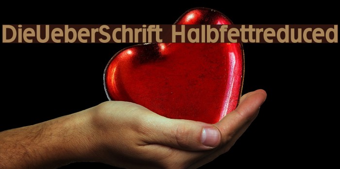 DieUeberSchrift-Halbfettreduced Font examples