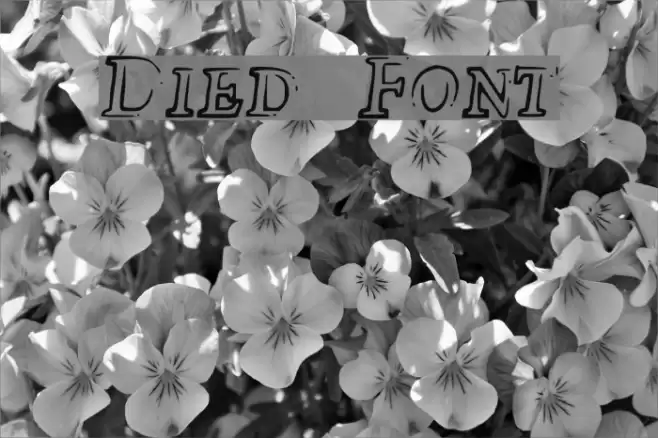 Died Font examples