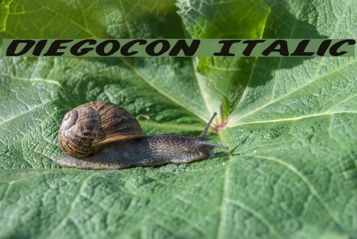 DiegoCon Italic Font examples