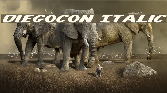 DiegoCon Italic Font examples