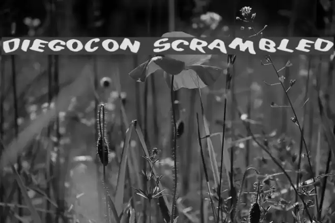 DiegoCon Scrambled Шрифта examples