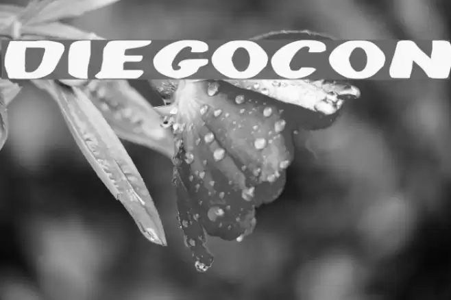 DiegoCon Font examples