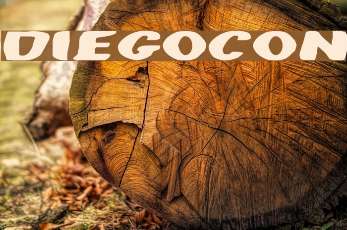 DiegoCon Font examples