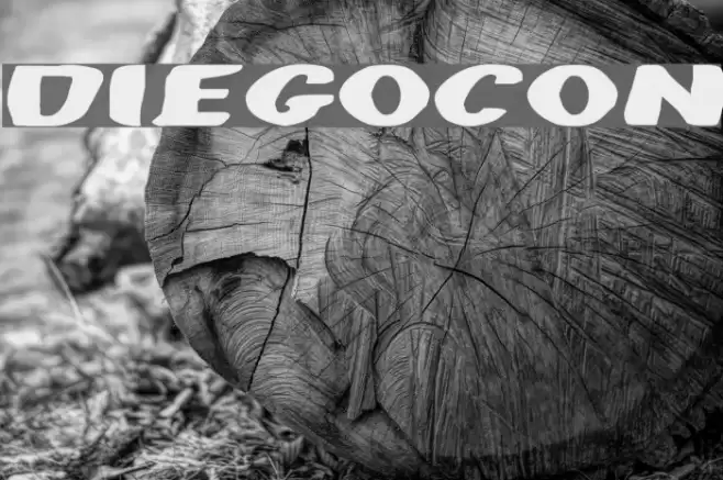 DiegoCon Font examples