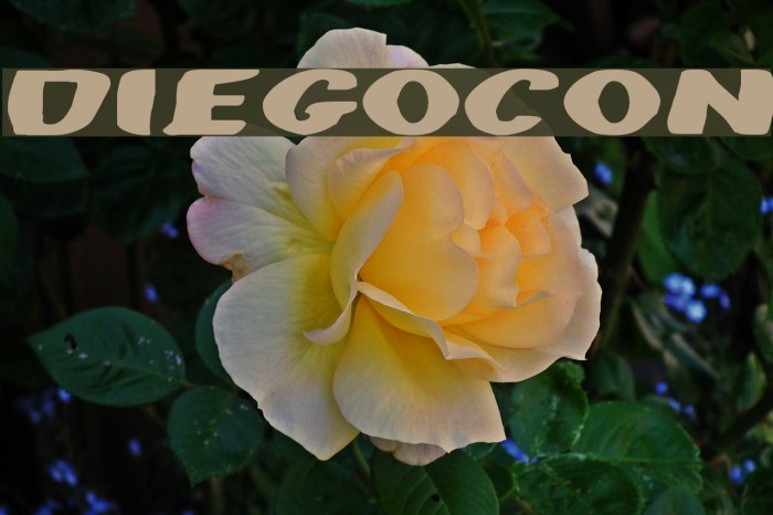 DiegoCon Font examples