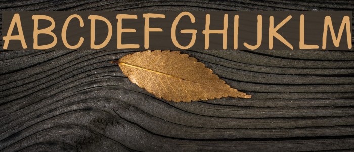 Diegolo Font examples