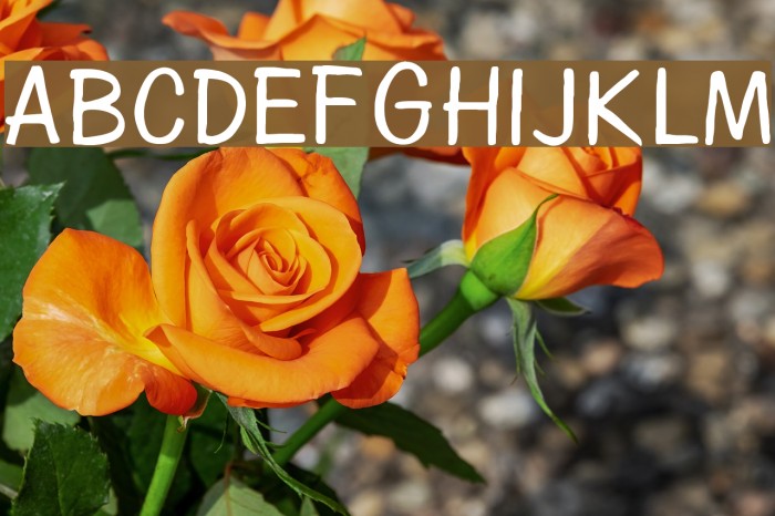 Diegolo Font examples
