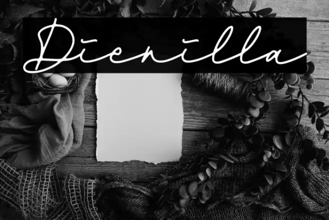 Dienilla Font examples
