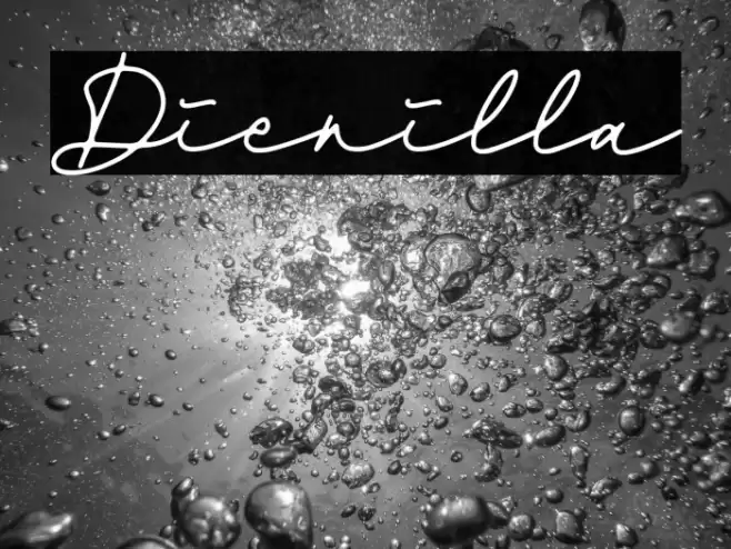 Dienilla Font examples