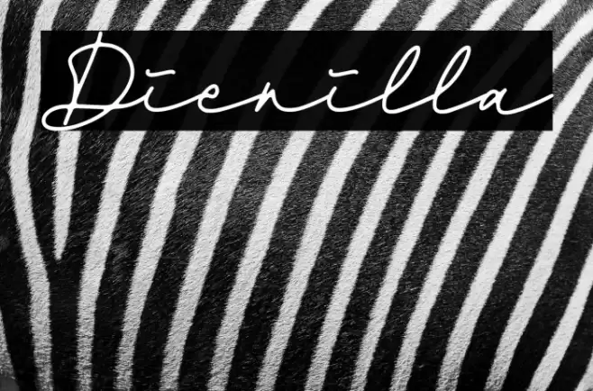 Dienilla Font examples