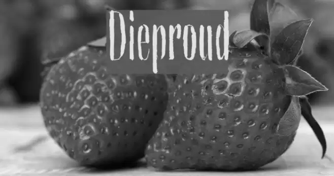 Dieproud Font examples