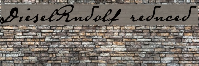 DieselRudolf-reduced Example 1