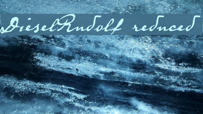 DieselRudolf-reduced Example 2