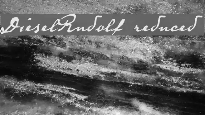 DieselRudolf-reduced Font examples