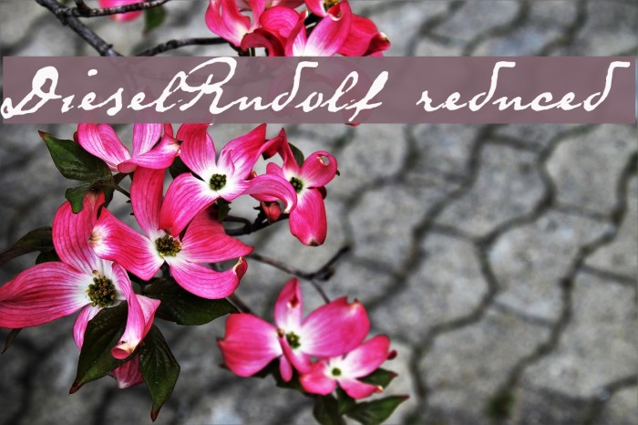 DieselRudolf-reduced Example 3