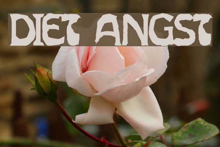 Diet Angst Example 2