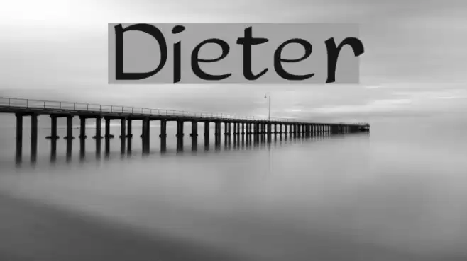 Dieter Font examples