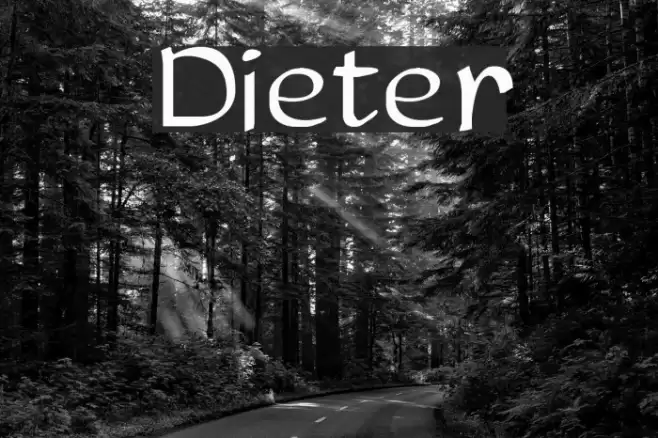 Dieter Font examples