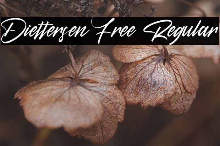 Diettersen Free Regular Example 3