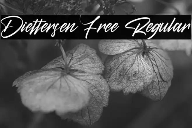 Diettersen Free Regular Example 3