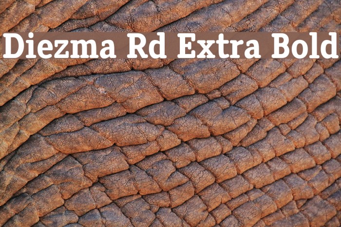 Diezma Rd Extra Bold Font examples