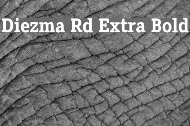 Diezma Rd Extra Bold Example 1
