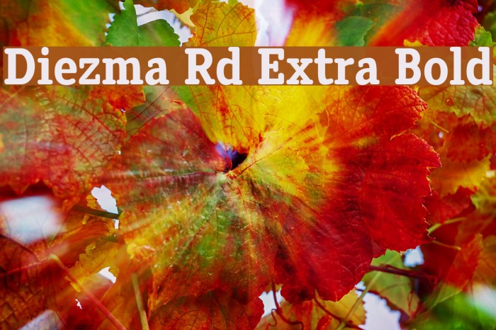 Diezma Rd Extra Bold Font examples