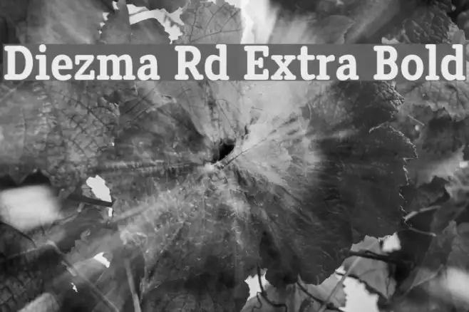 Diezma Rd Extra Bold Example 2